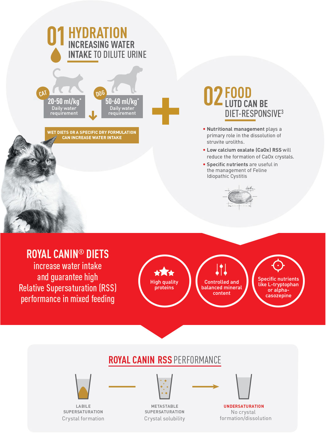 Hydration: increase water intake to dilute urine. Food: LUTD can be diet-responsive. Royal Canin Diets: increase water intake and guarantee high Relative Supersaturation performance in mixed feeding.