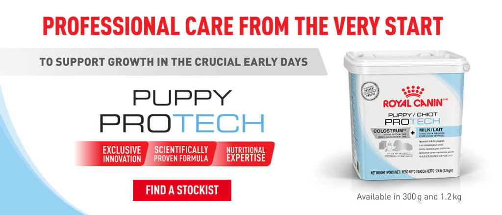 Puppy pro tech Food Web Banner