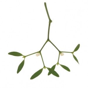 istock_green-mistletoe-300x300