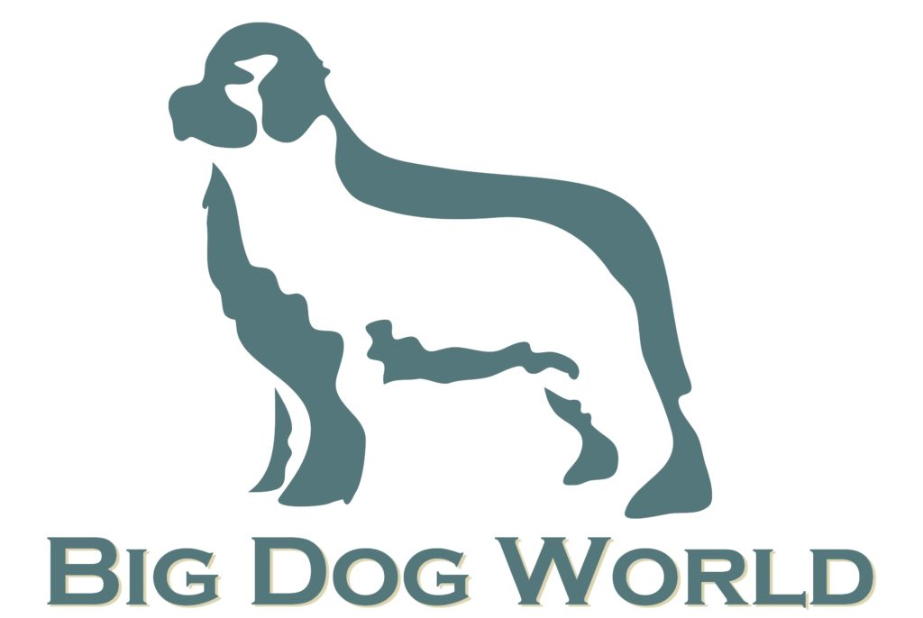 Big Dog World