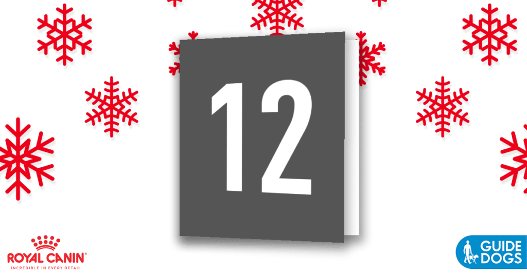 royal-canin-advent-calendar-day-12