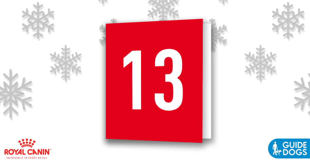 royal-canin-advent-calendar-day-13