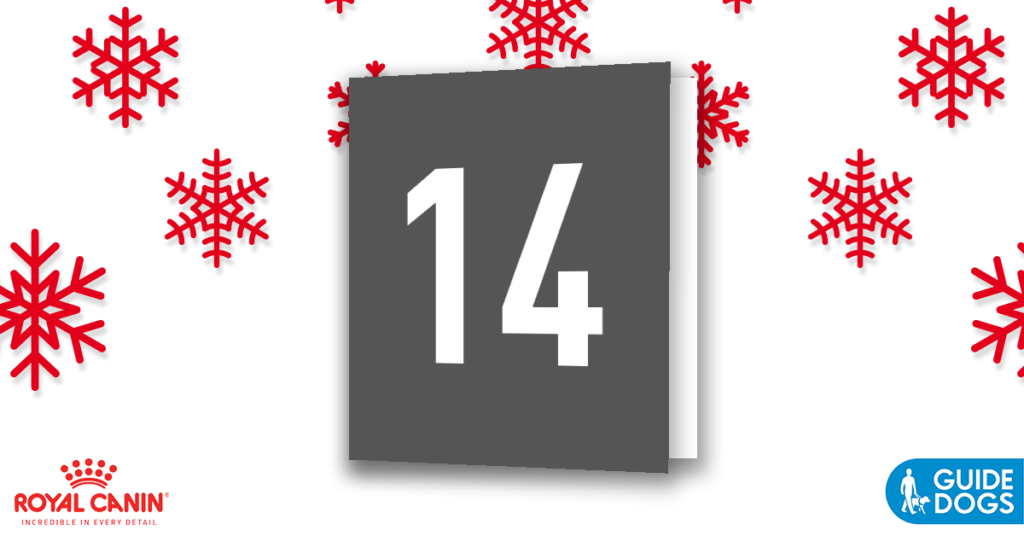 royal-canin-advent-calendar-day-14