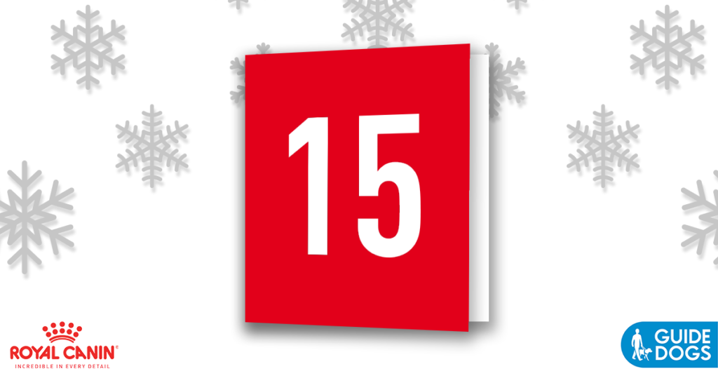 royal-canin-advent-calendar-day-15