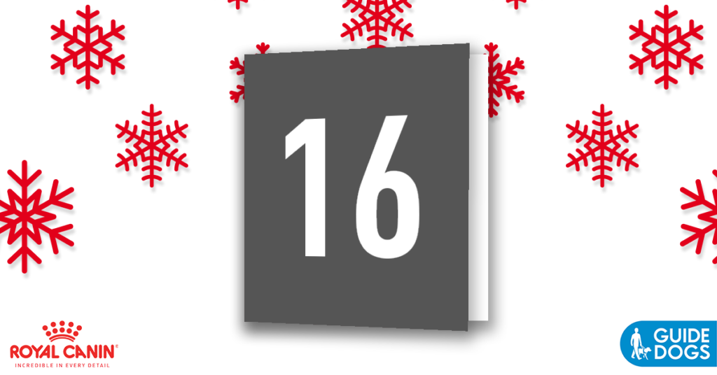 royal-canin-advent-calendar-day-16