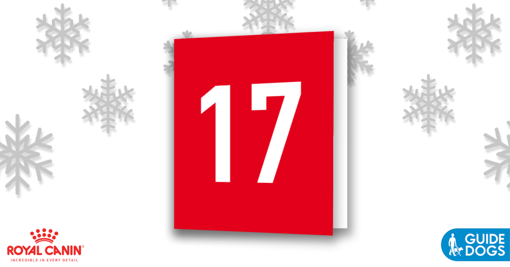 royal-canin-advent-calendar-day-17