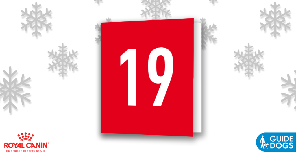 royal-canin-advent-calendar-day-19