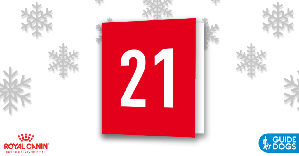 royal-canin-advent-calendar-day-21