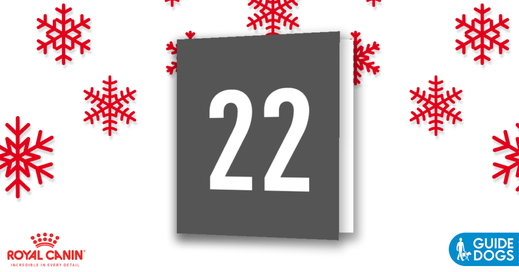 royal-canin-advent-calendar-day-22