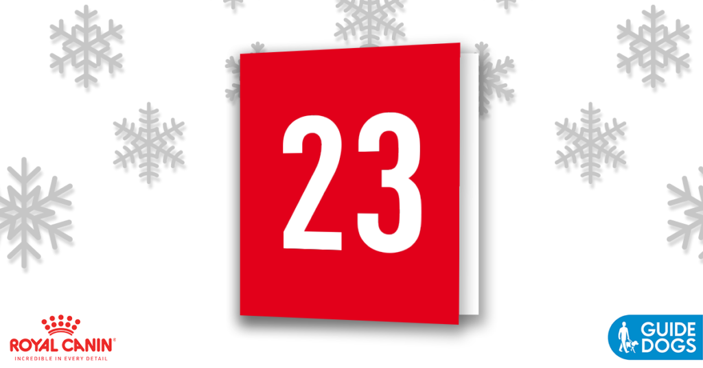 royal-canin-advent-calendar-day-23