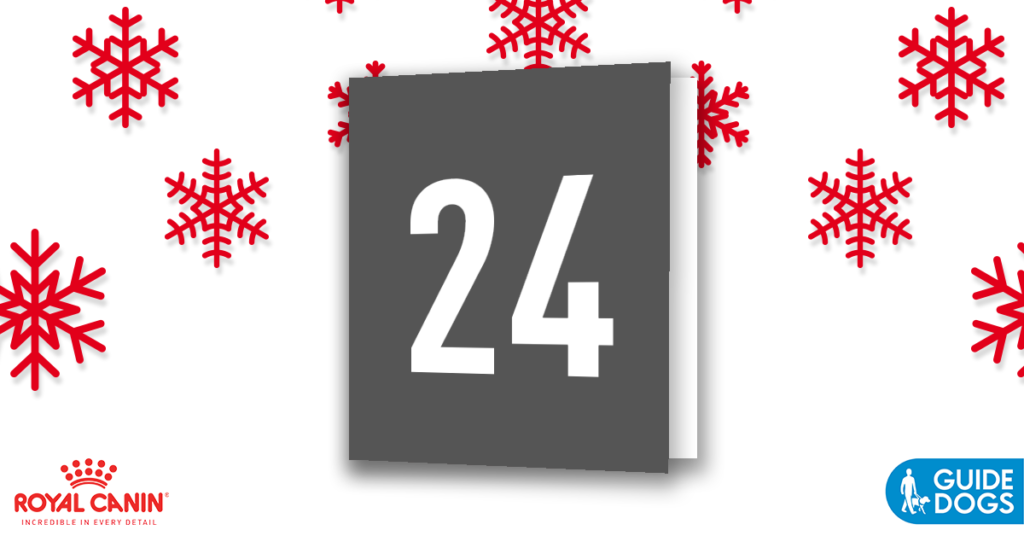 royal-canin-advent-calendar-day-24