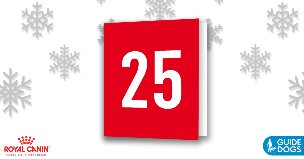 royal-canin-advent-calendar-day-25